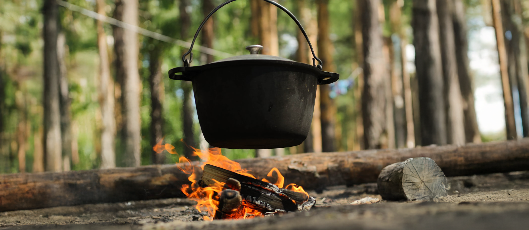 Why do we recommend warm, cooked foods? 